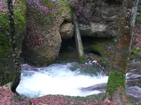 Natur im Fluss