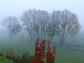 Nebel im Aichtal