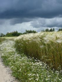 Naturgewalten