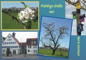 Weiler Postkarte Frühling.jpg